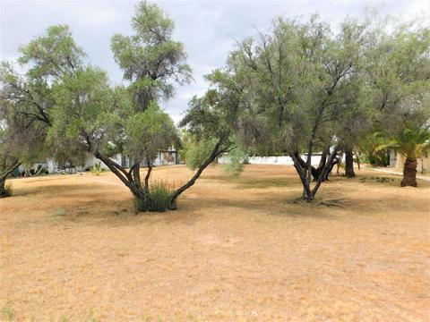 4069 S Queen Palm Dr, Tucson, AZ 85730 photo 19