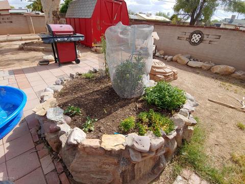 5834 E 18th St, Tucson, AZ 85711 photo 27