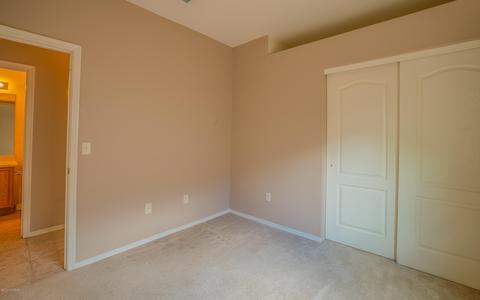 650 S Painted River Way, Vail, AZ 85641 photo 21