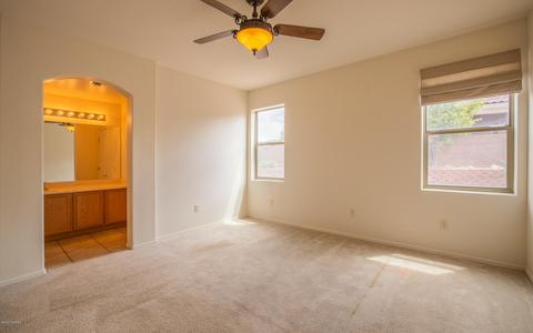 650 S Painted River Way, Vail, AZ 85641 photo 25
