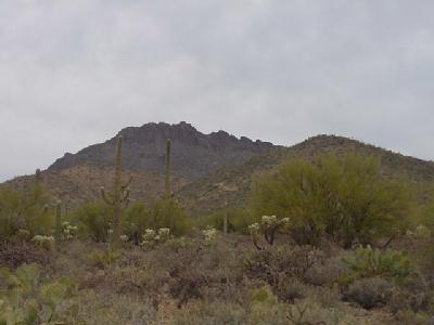 3465 S Goldleaf Loop, Tucson, AZ 85735 photo 6
