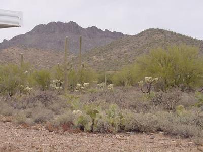 3465 S Goldleaf Loop, Tucson, AZ 85735 photo 7