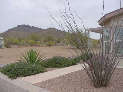 3465 S Goldleaf Loop, Tucson, AZ 85735 photo 1