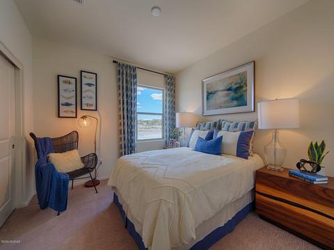 14275 E Yellow Sage Ln, Vail, AZ 85641 photo 19