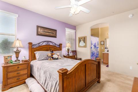 2523 E Cold Snap Pl, Vail, AZ 85641 photo 17