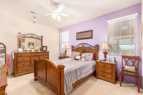 2523 E Cold Snap Pl, Vail, AZ 85641 photo 16
