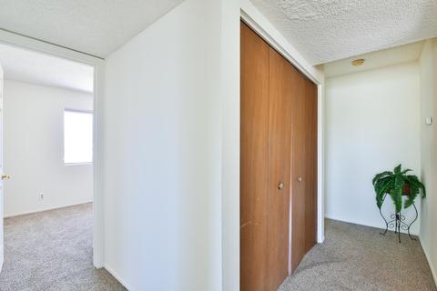 902 Elm St, Tucson, AZ 85719 photo 15