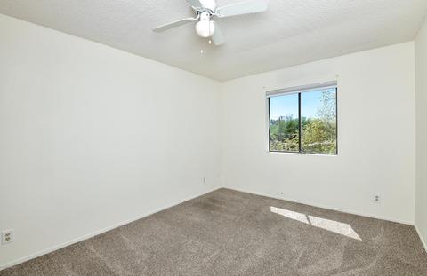 902 Elm St, Tucson, AZ 85719 photo 21