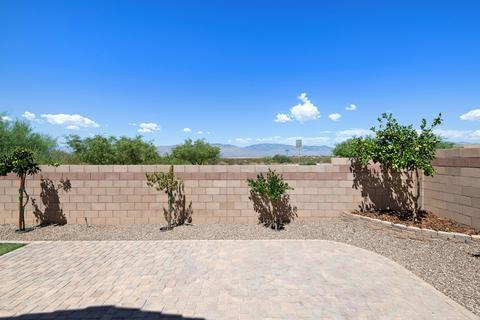 12439 E Corte Manta, Vail, AZ 85641 photo 25