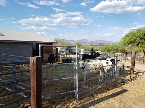 85635 E Leewood St, Mammoth, AZ 85618 photo 29
