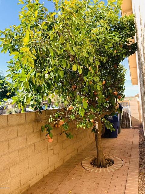 9707 E Paseo San Bernardo, Tucson, AZ 85747 photo 19
