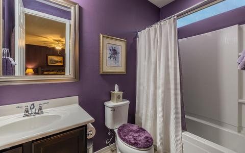13848 E Carruthers St, Vail, AZ 85641 photo 14