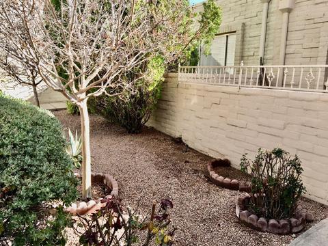 560 E Savannah St, Vail, AZ 85641 photo 10