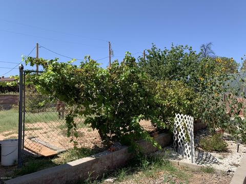 250 E 8th St, Benson, AZ 85602 photo 31