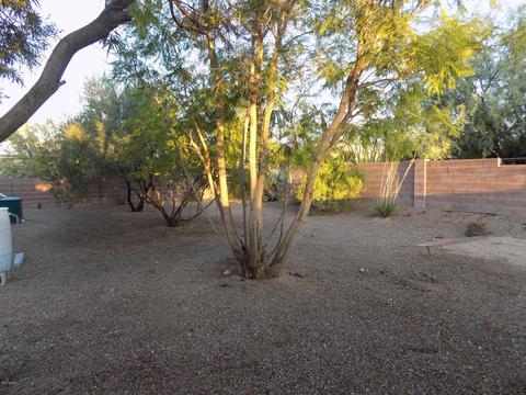 6256 E Thunder River Dr, Tucson, AZ 85756 photo 27