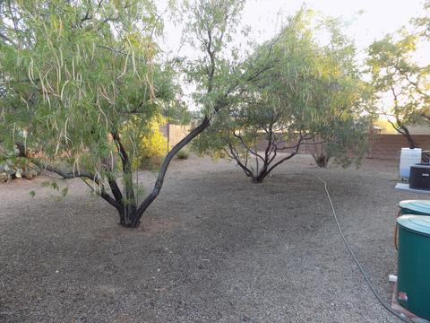 6256 E Thunder River Dr, Tucson, AZ 85756 photo 28