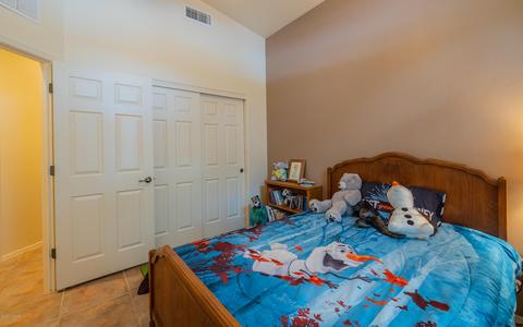 14538 E Desert Plume Ct, Vail, AZ 85641 photo 32