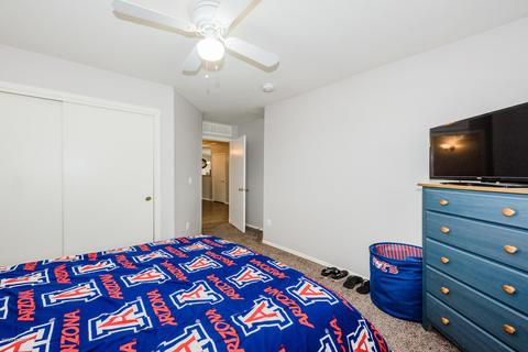 12818 E Hannah Trl, Vail, AZ 85641 photo 19