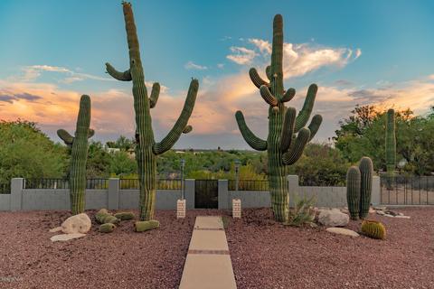 540 E Agave Dr, Tucson, AZ 85704 photo 40
