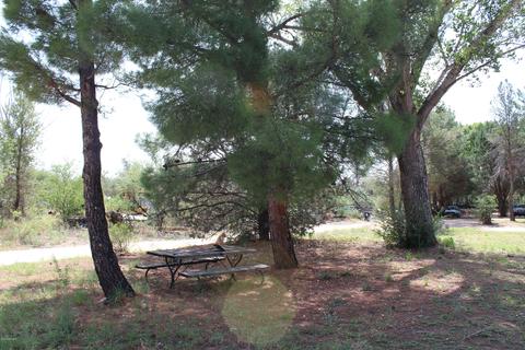 695 E 2nd Ave, Saint David, AZ 85630 photo 3