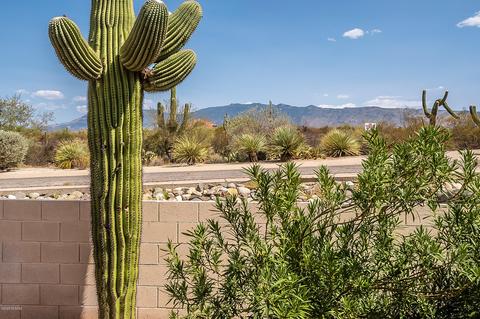 10420 Thunderbolt Dr, Tucson, AZ 85748 photo 44