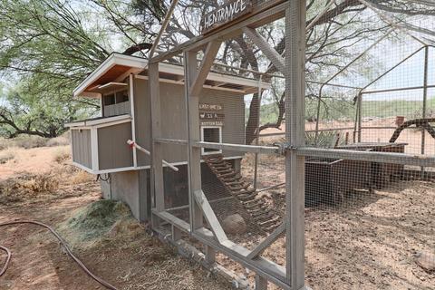 19341 E Marsh Station Rd, Vail, AZ 85641 photo 22