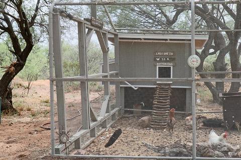 19341 E Marsh Station Rd, Vail, AZ 85641 photo 23