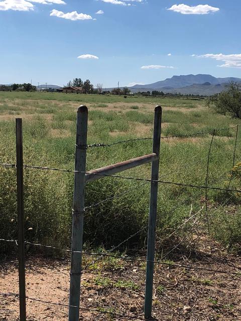 2361 N Red Oak Ln, Willcox, AZ 85643 photo 8