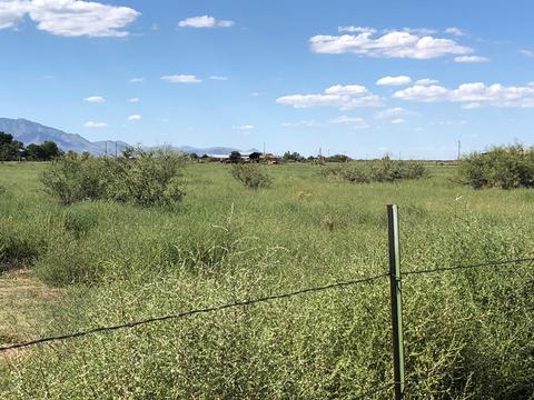 2361 N Red Oak Ln, Willcox, AZ 85643 photo 7