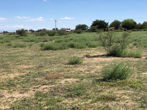 2361 N Red Oak Ln, Willcox, AZ 85643 photo 5