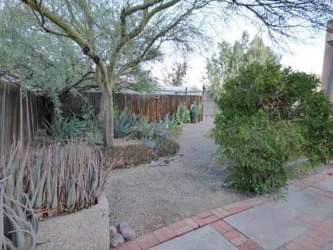 907 E Freeman Pl, Tucson, AZ 85719 photo 34