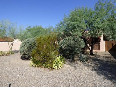 907 E Freeman Pl, Tucson, AZ 85719 photo 39