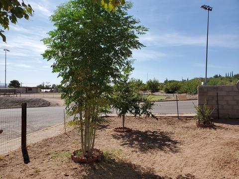 107 Kino St, Mammoth, AZ 85618 photo 19