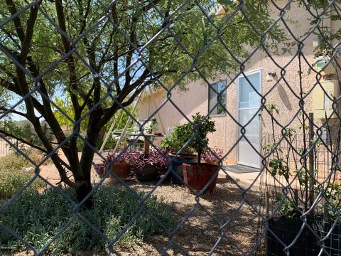 402 E Patrick Dr, Benson, AZ 85602 photo 46