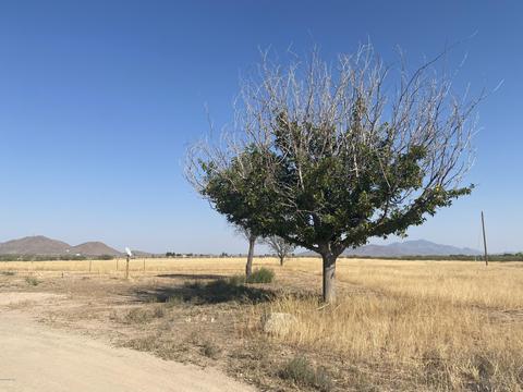 3495 W Horseshoe Ln, Willcox, AZ 85643 photo 3