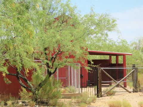 1692 W Thunder Rd, Vail, AZ 85641 photo 19