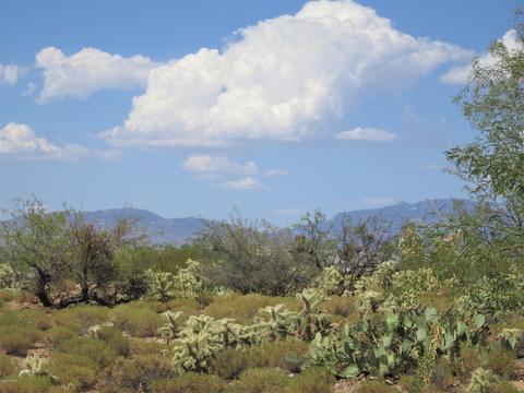 1692 W Thunder Rd, Vail, AZ 85641 photo 32