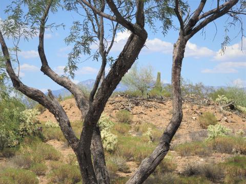 1692 W Thunder Rd, Vail, AZ 85641 photo 33