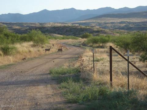 13367 S Grey Bear Rd, Willcox, AZ 85643 photo 10