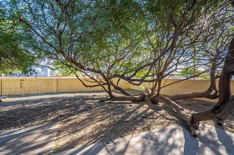 7952 E 2nd St, Tucson, AZ 85710 photo 49