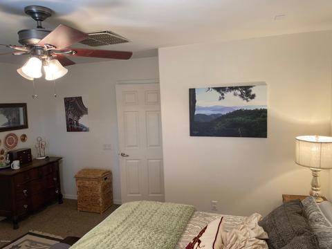 10428 E Capercaillie St, Tucson, AZ 85747 photo 25