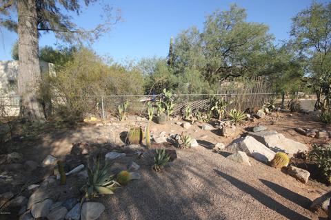 925 E Freeman Pl, Tucson, AZ 85719 photo 4