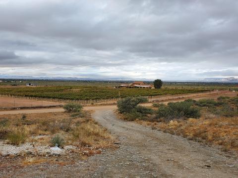 2941 E Roadrunner, Willcox, AZ 85643 photo 21