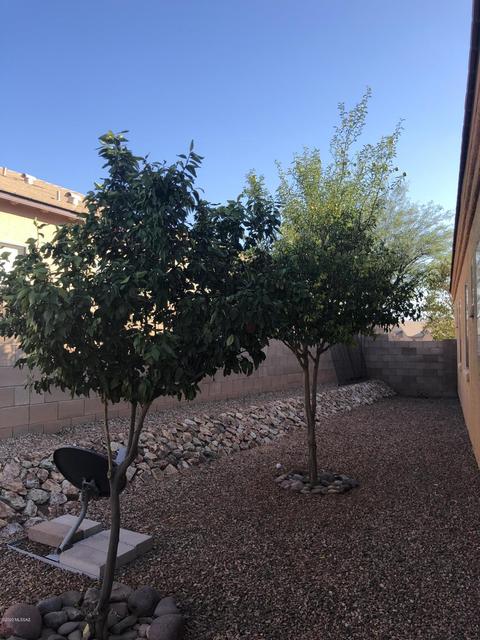 528 W Chatfield St, Vail, AZ 85641 photo 31