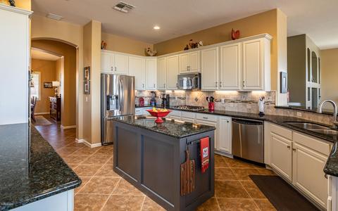 10529 S Coyote Melon Loop, Vail, AZ 85641 photo 14