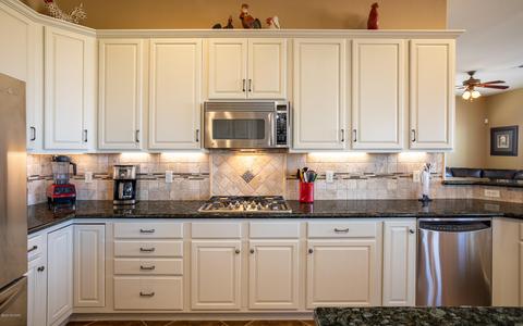 10529 S Coyote Melon Loop, Vail, AZ 85641 photo 15