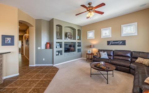 10529 S Coyote Melon Loop, Vail, AZ 85641 photo 21