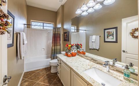 10529 S Coyote Melon Loop, Vail, AZ 85641 photo 35