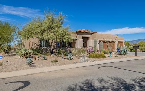 10529 S Coyote Melon Loop, Vail, AZ 85641 photo 49