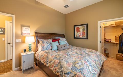 10529 S Coyote Melon Loop, Vail, AZ 85641 photo 38